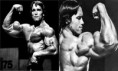 Arnold Schwarzenegger 